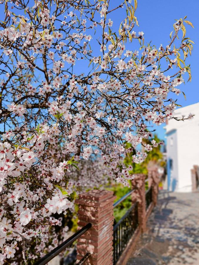 Canillas de Aceituno Modern, Bright And Comfortable Apartment With Shared Roof Terrace מראה חיצוני תמונה